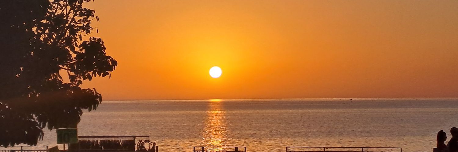 robinpavina's profile banner image