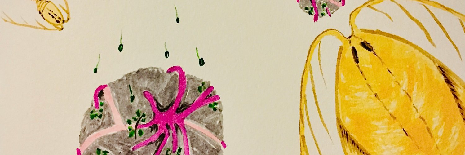 Dr. Cordelia Roberts (she/her)'s banner