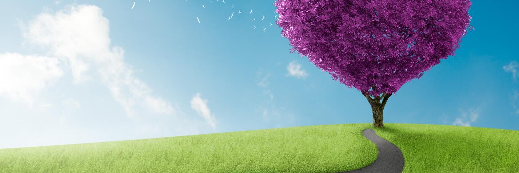 UnlimitMore's profile banner image