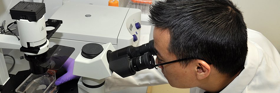 Yale Pathology banner