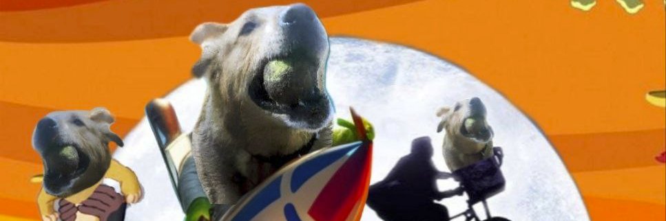 tuckadventures's profile banner image