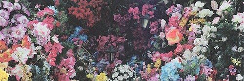 dane_valencia's profile banner image