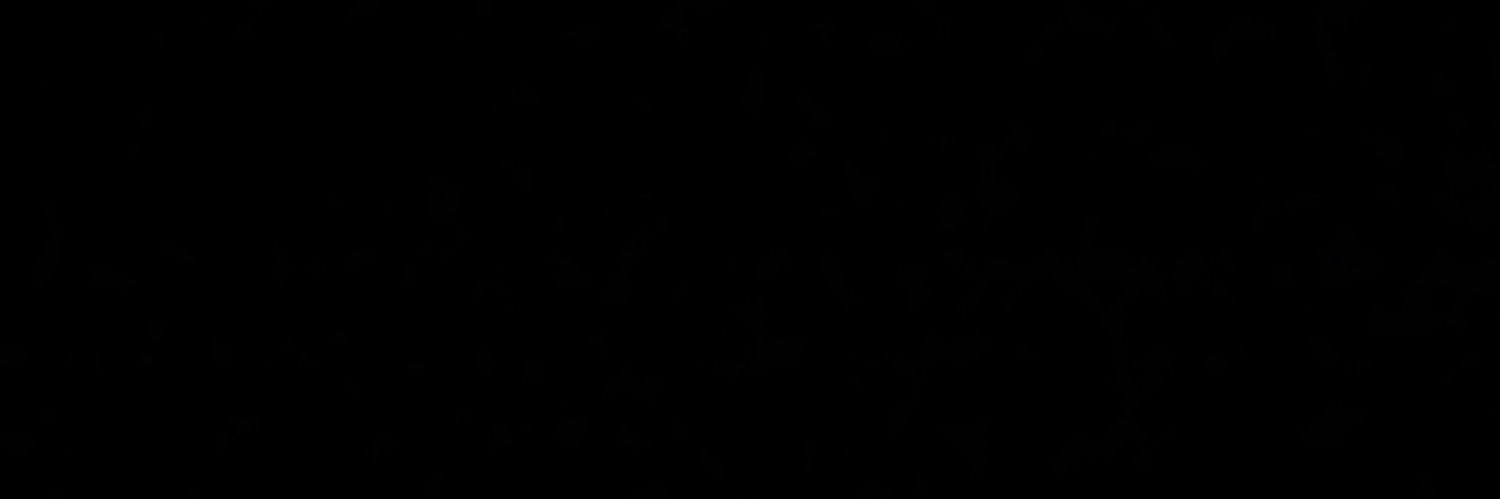 nmm19831's profile banner image