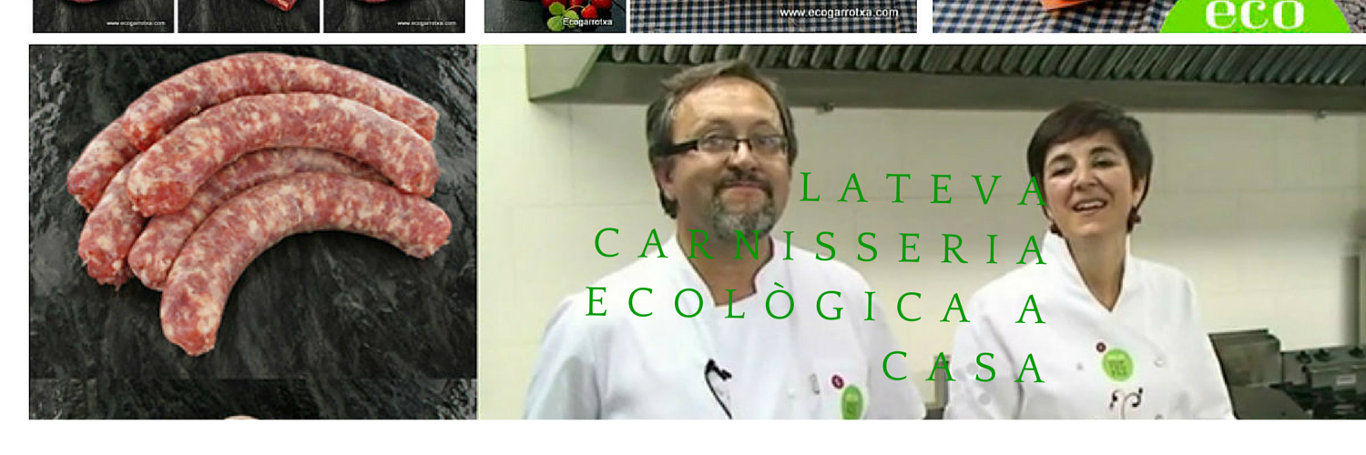 Ecogarrotxa's profile banner image