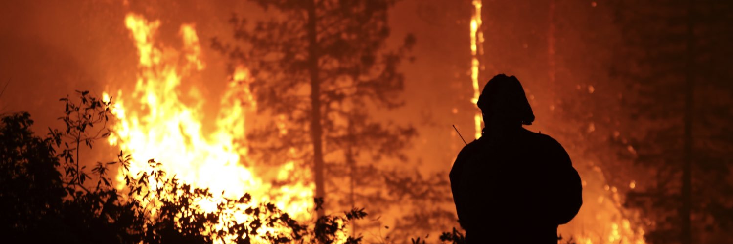 Chico Enterprise-Record banner