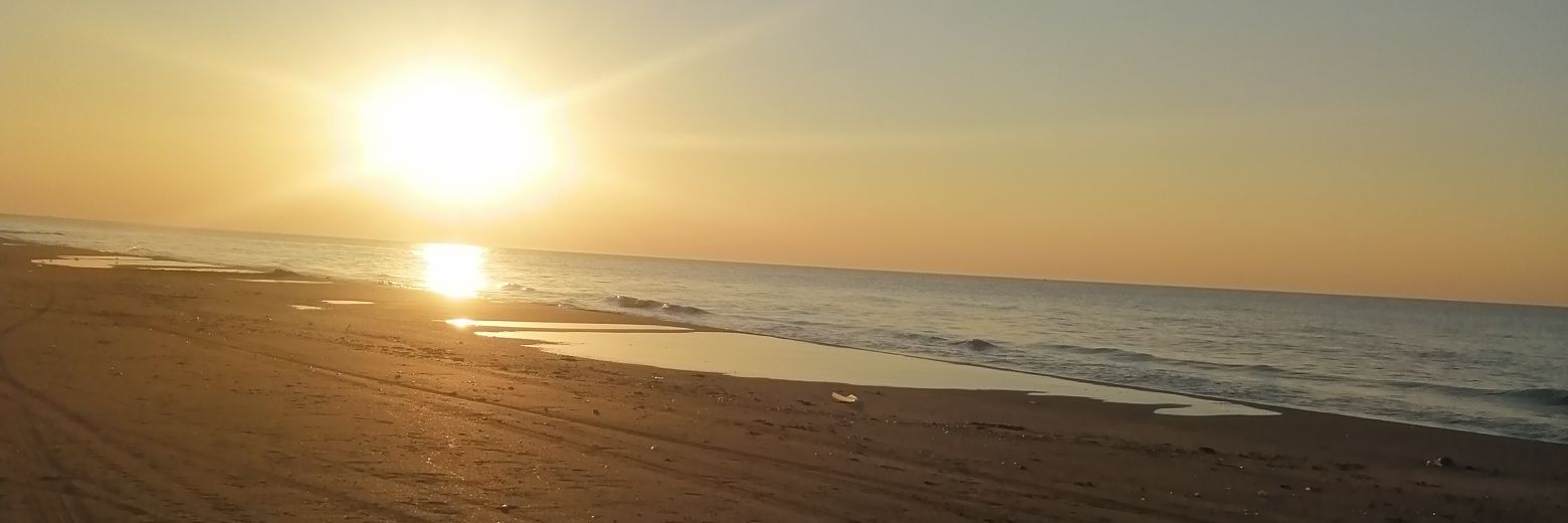 chuyoroz's profile banner image