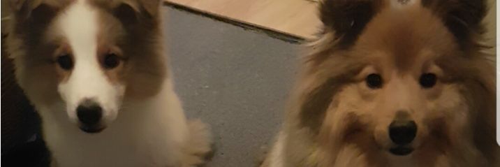 michaelparker04's profile banner image