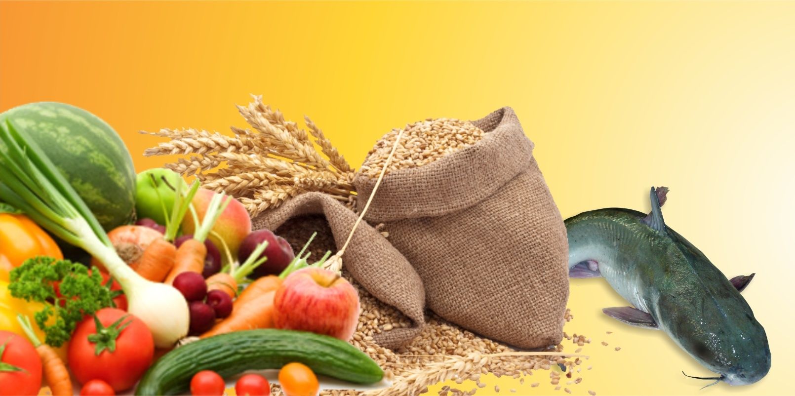ht_agro's profile banner image