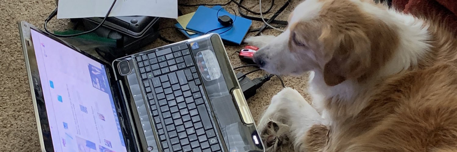 JustCrollWithIt's profile banner image