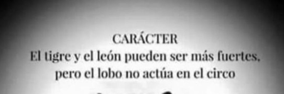 TRIJUSUS 🔻 banner