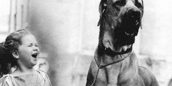 Albiloa's profile banner image