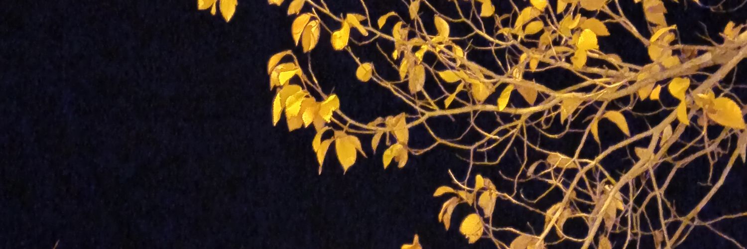 M4SOUD's profile banner image