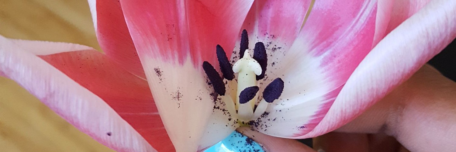 WeeLadyLizzy's profile banner image