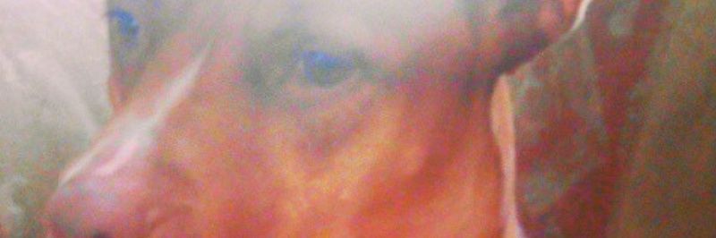 Gabrielle Gilbert banner