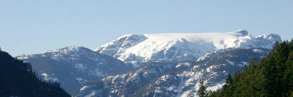 Comox Valley Record banner