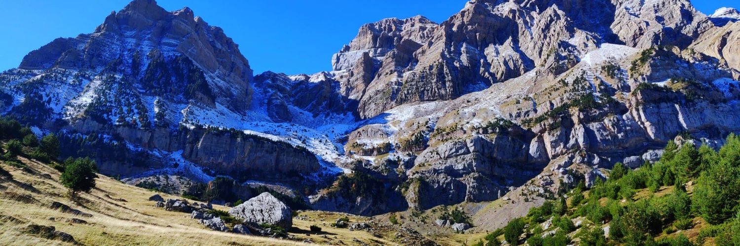 sesiwey's profile banner image