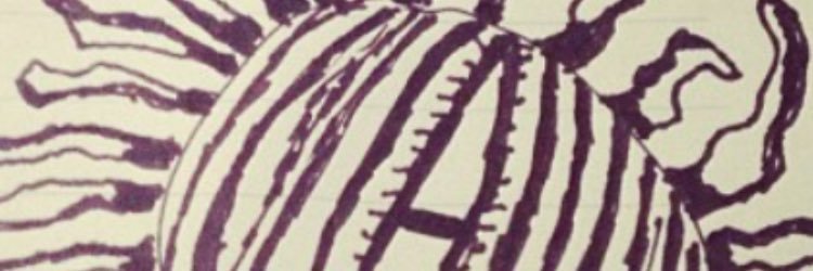 NlexAorderhus's profile banner image