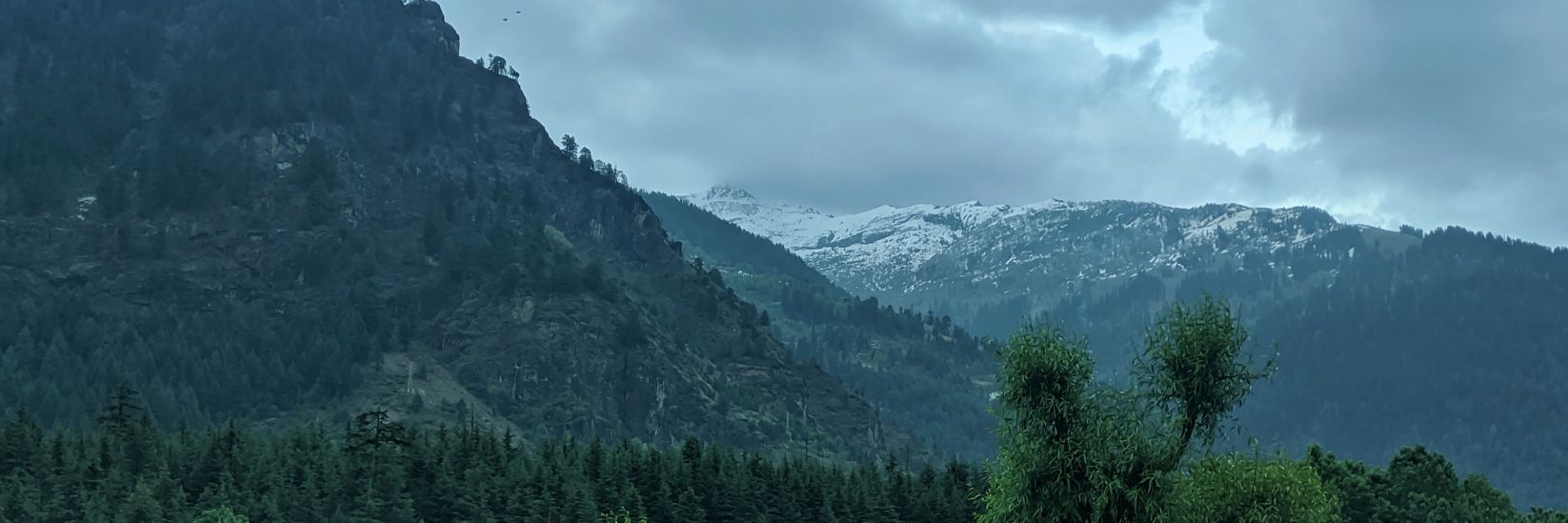 thebadcoder's profile banner image