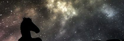 cami_letsgo's profile banner image