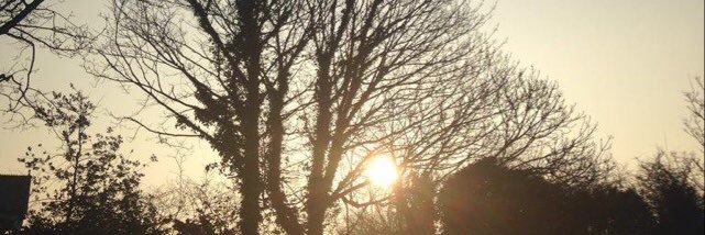 EmmaMarshman's profile banner image