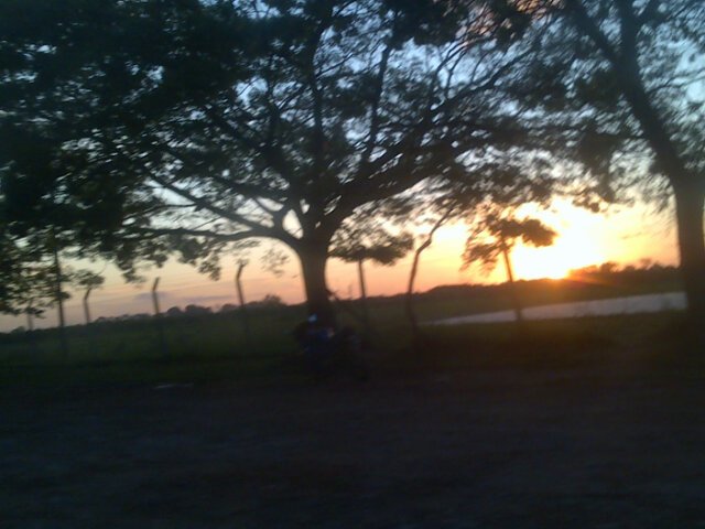 Desvergonzada intergalactica banner