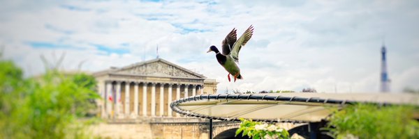 EmmanuelRials Profile Banner