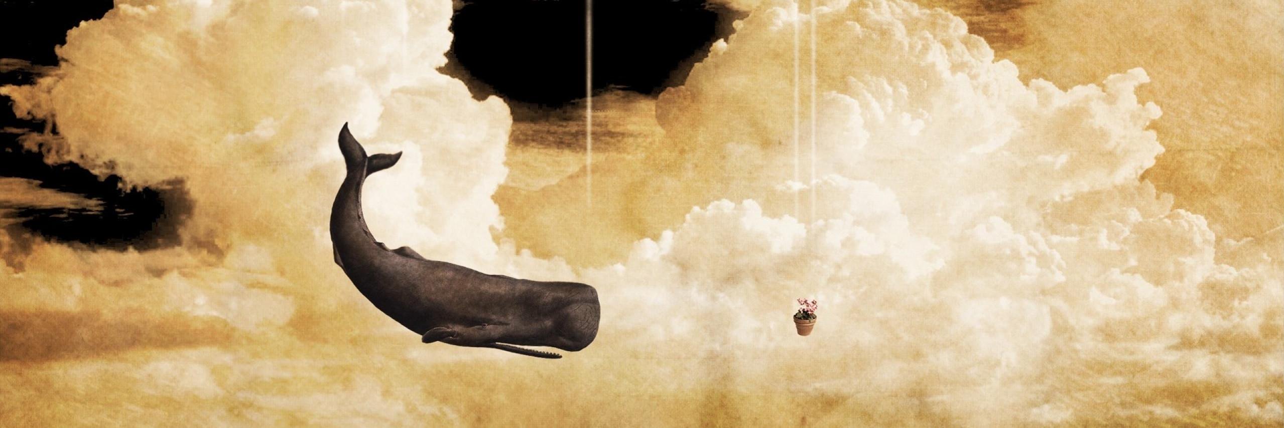 AtomBrians's profile banner image