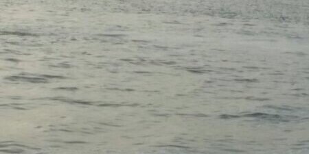 a_f1978's profile banner image