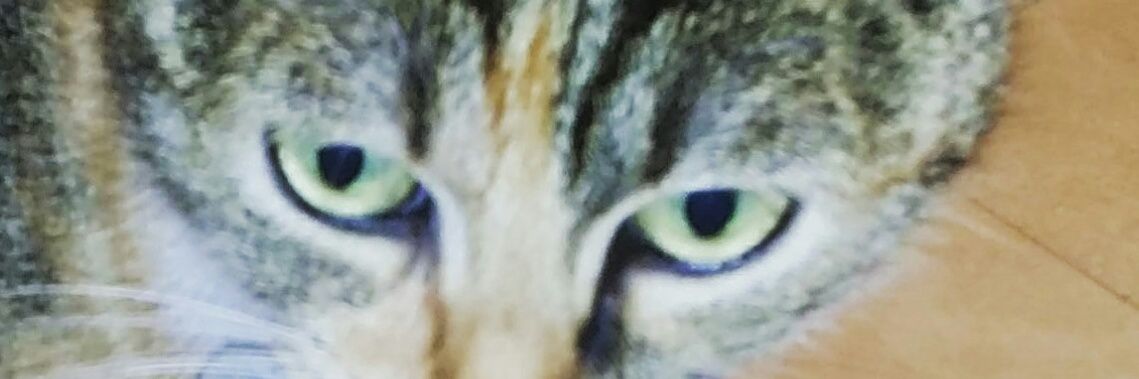 dalbertm77's profile banner image