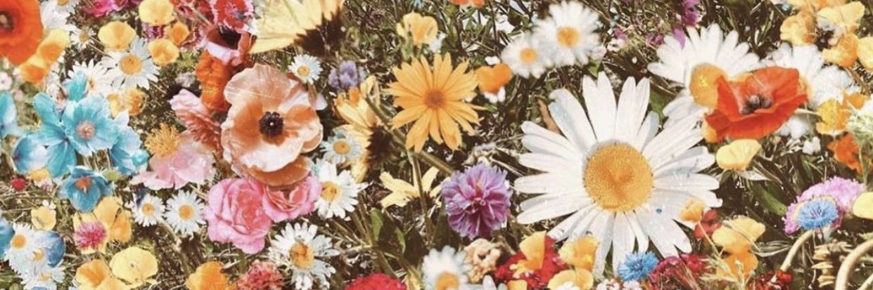 AshNM96's profile banner image