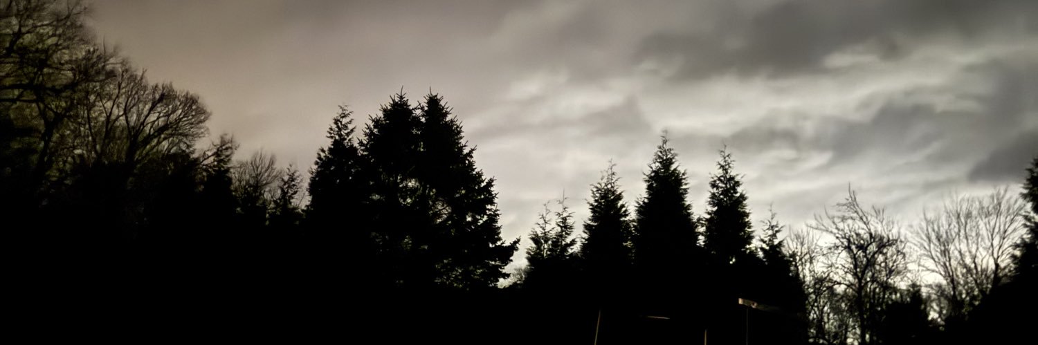 bondage&chastity banner