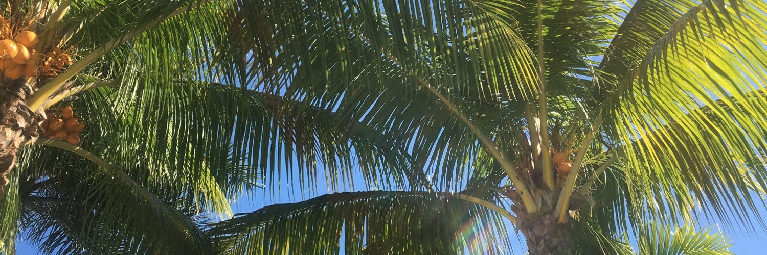ssmash_19's profile banner image