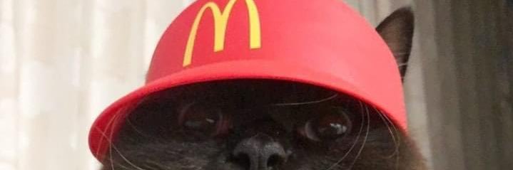 PNDTX's profile banner image