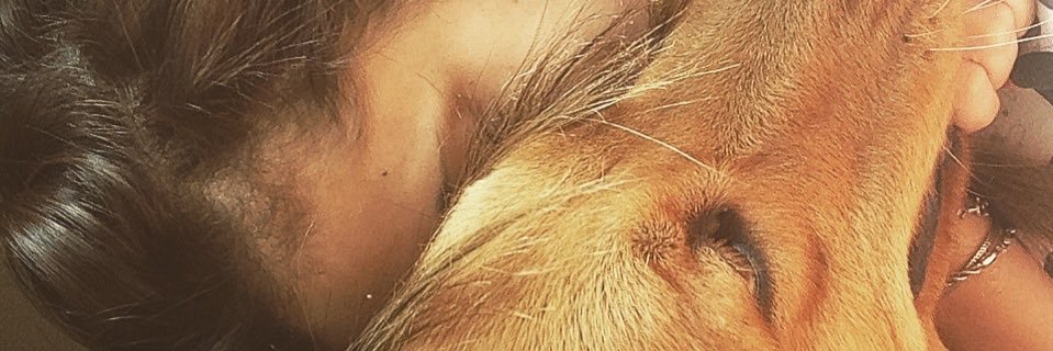fflavialeite's profile banner image