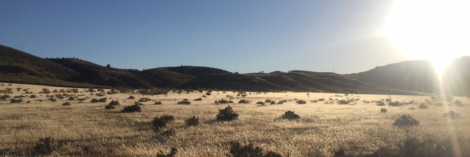 Santos Medina banner