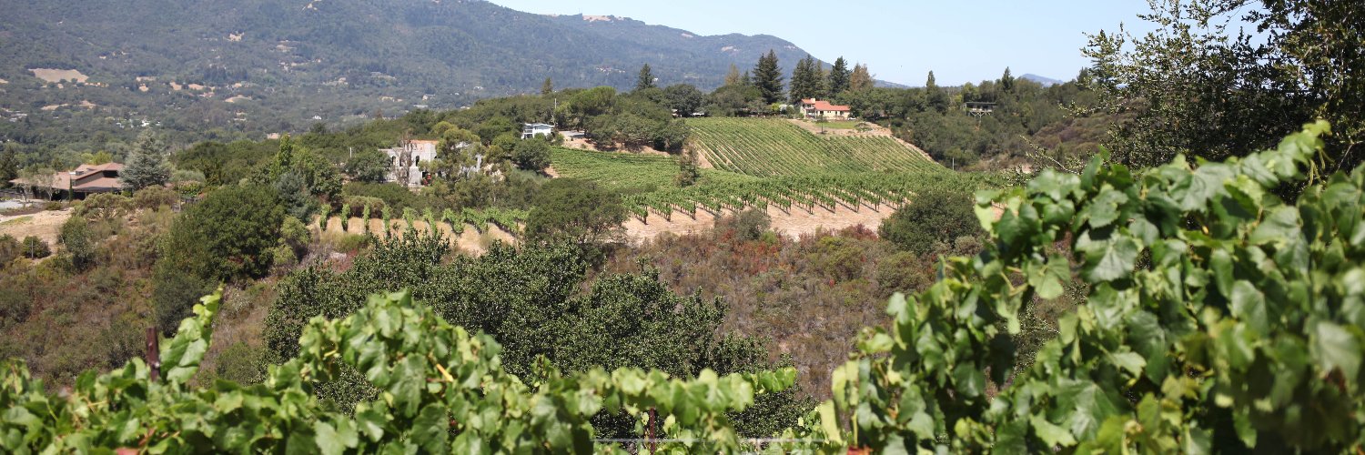 TyCatonVineyard's profile banner image