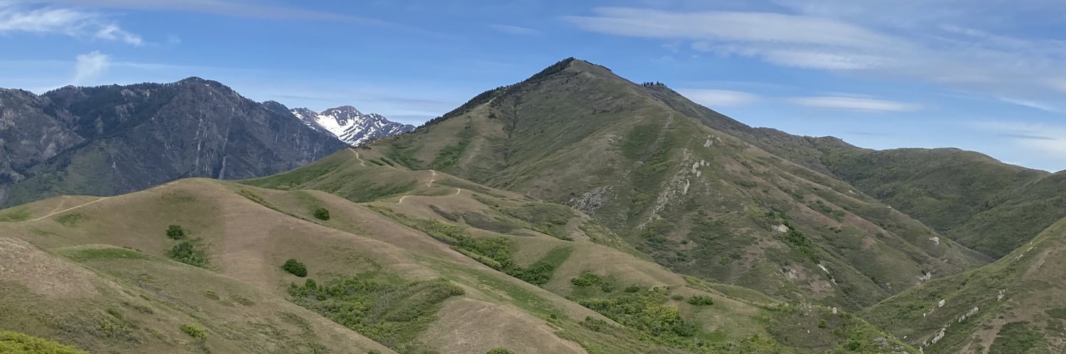 Matty Layne Glasgow banner