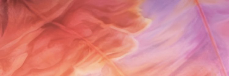 lenaskendrick's profile banner image