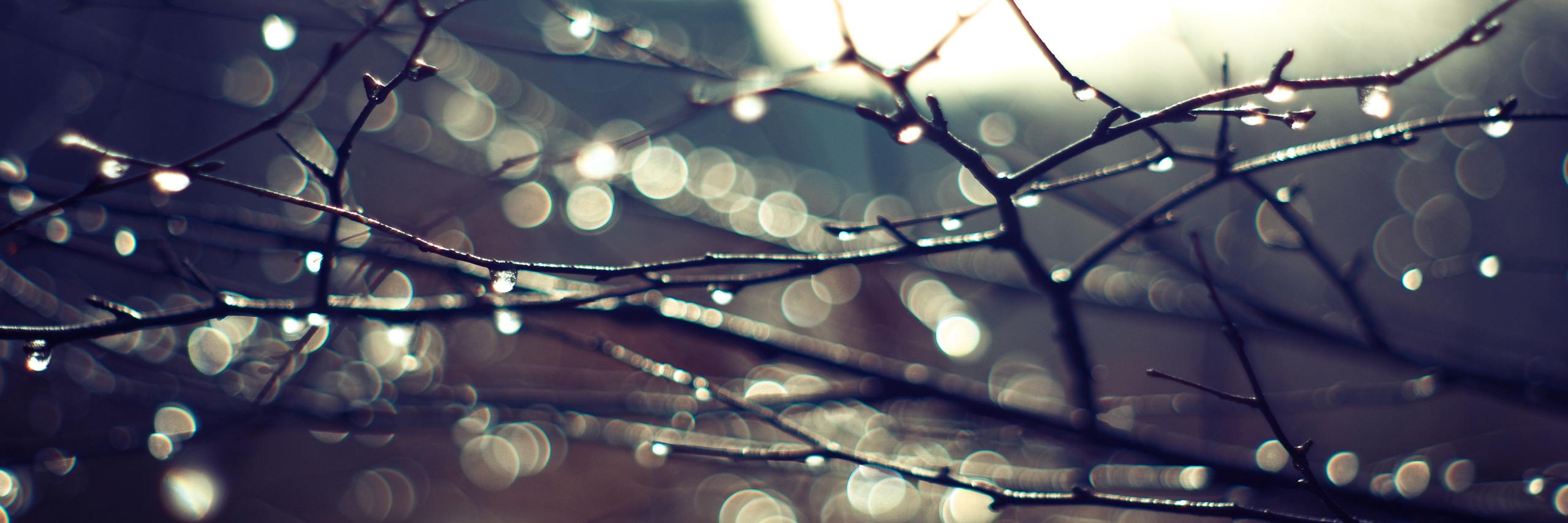 baralebh's profile banner image