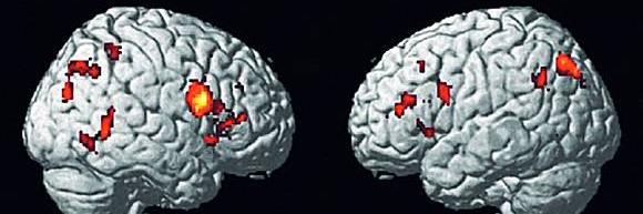 Francesco Cerritelli banner