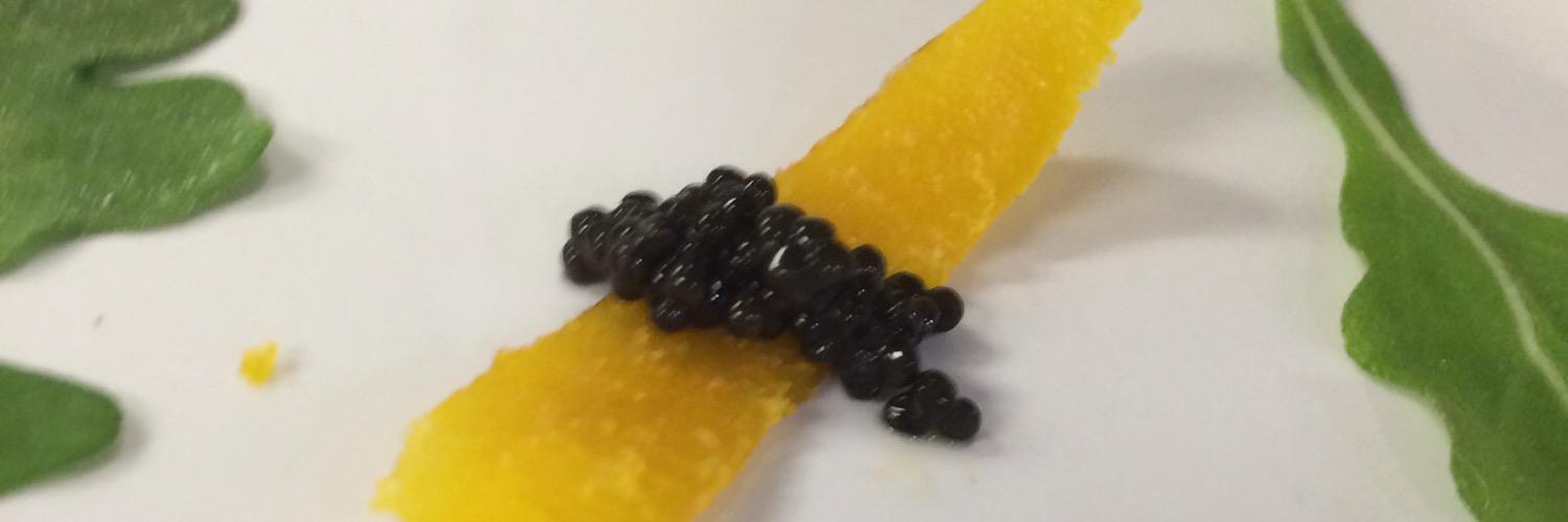 edchiles's profile banner image