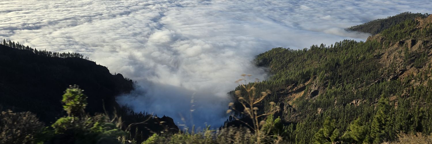 s15ext's profile banner image