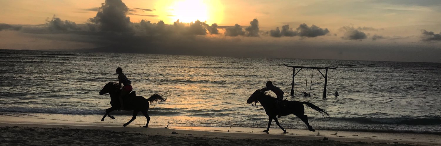 ArchieWilkinson banner