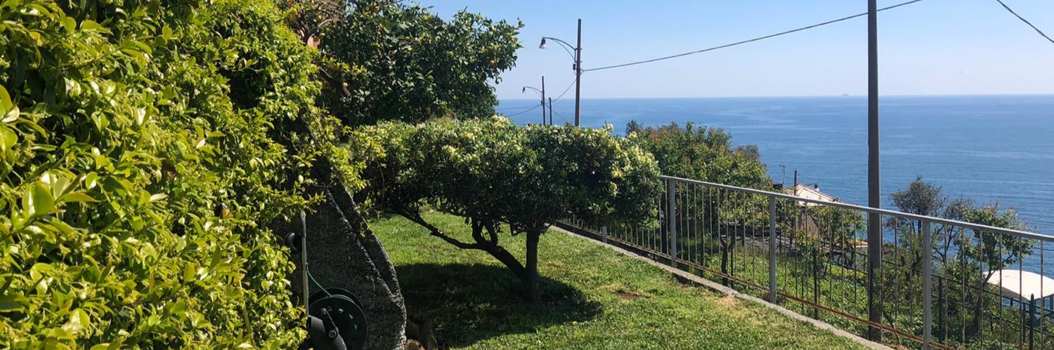 MatteoCanepa's profile banner image