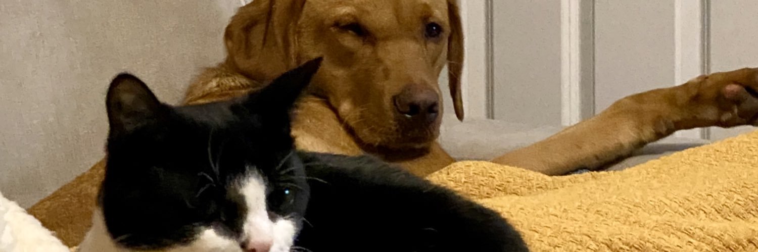 marcRdrew's profile banner image
