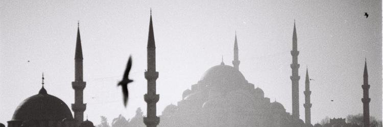 karahann48's profile banner image