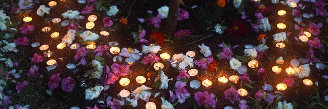 YogaforPTSD's profile banner image