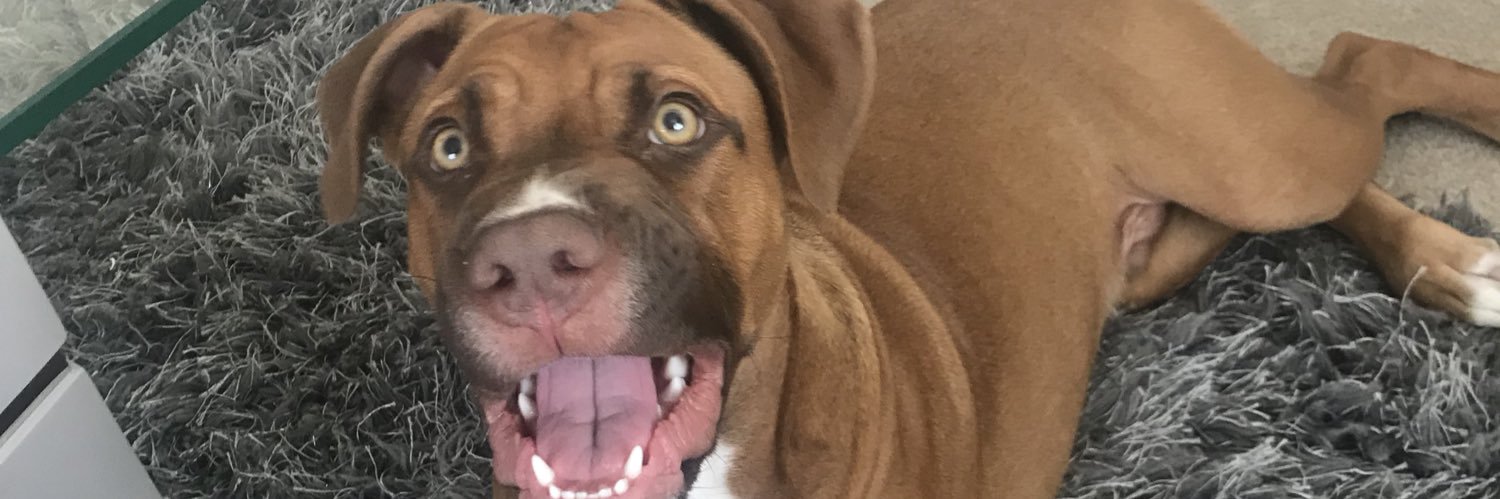 DannyO'Connor banner