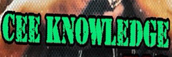 ceeknowledge Profile Banner