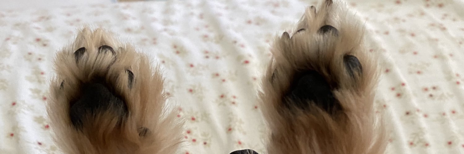 NootNugget's profile banner image